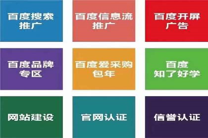 专业SEM托管如何助力电商行业增长？——案例分析